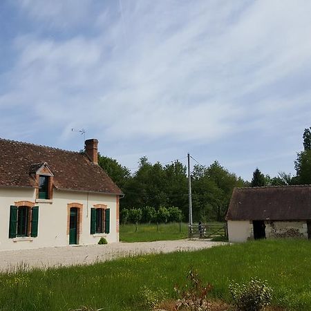 הוילה Mur-de-Sologne Les Brosses מראה חיצוני תמונה